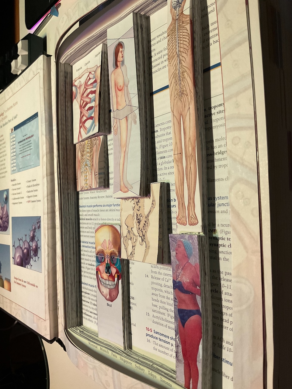 Angled shot on the right edge of the sculpture while was a work in progress.