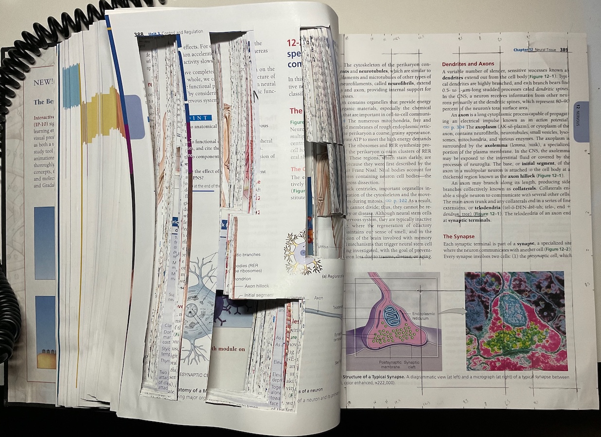 Work-in-progress photo.