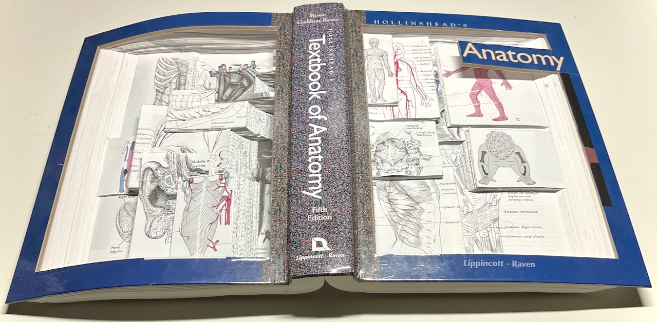45 degree angle view of the sculpture that was orginally an anatomy textbook.