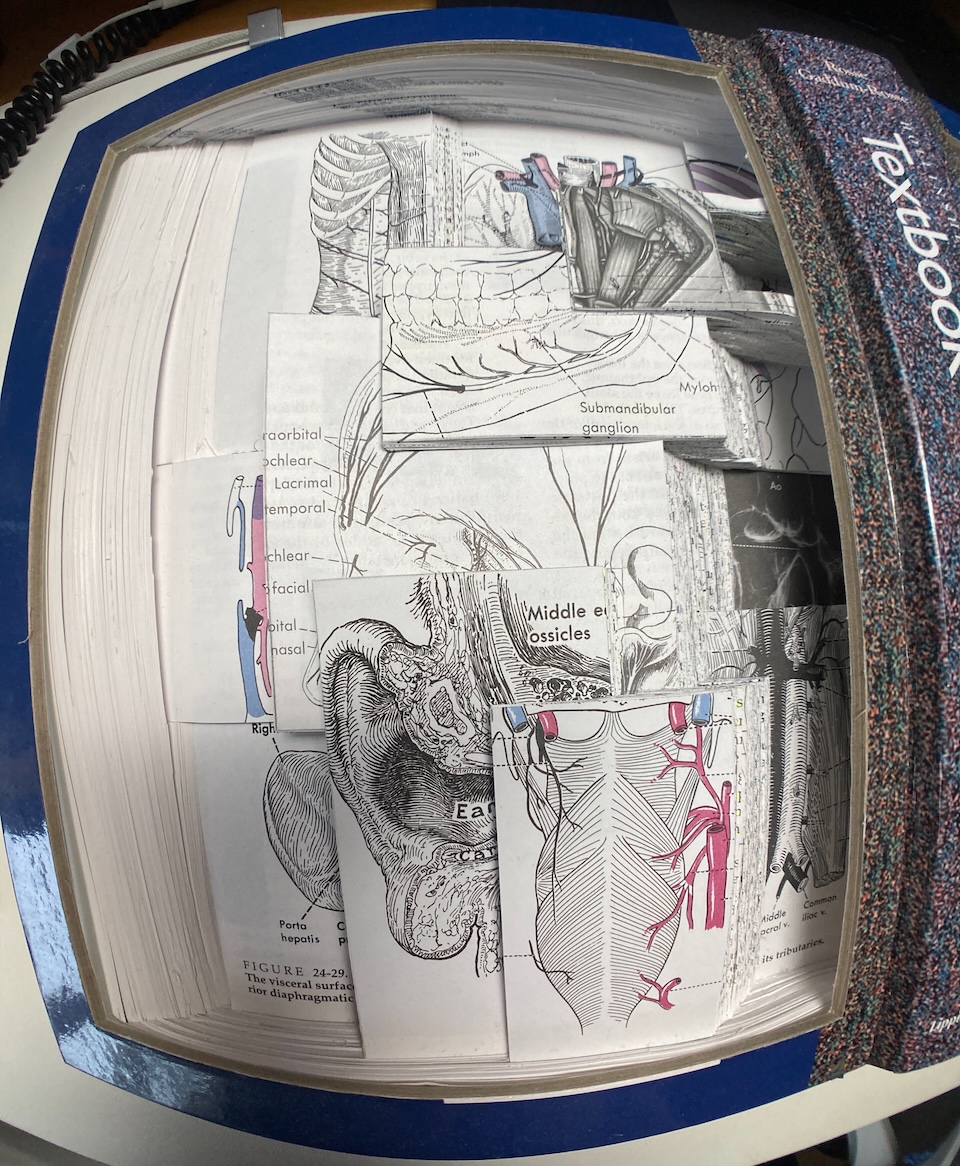 Wide angle shot of left side of sculpture.