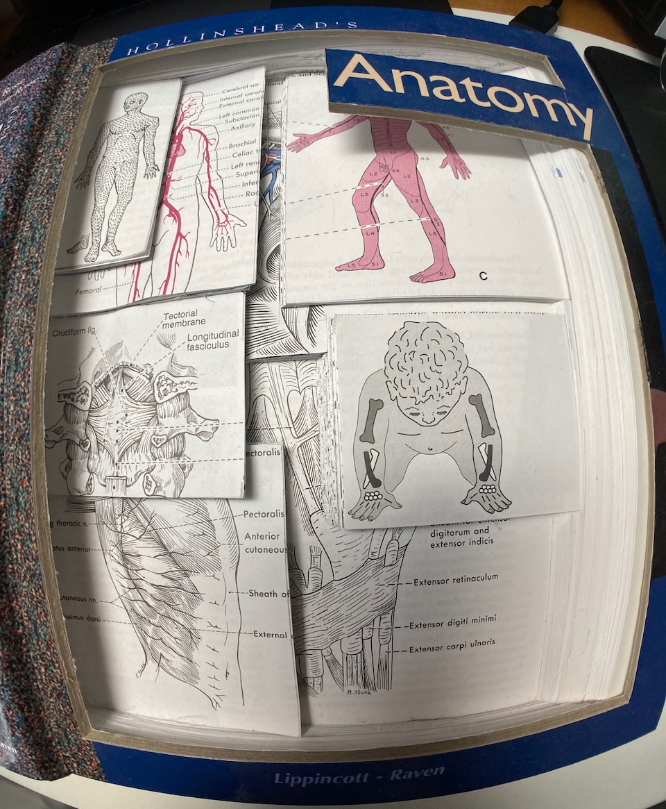 Wide angle shot of right side of sculpture.