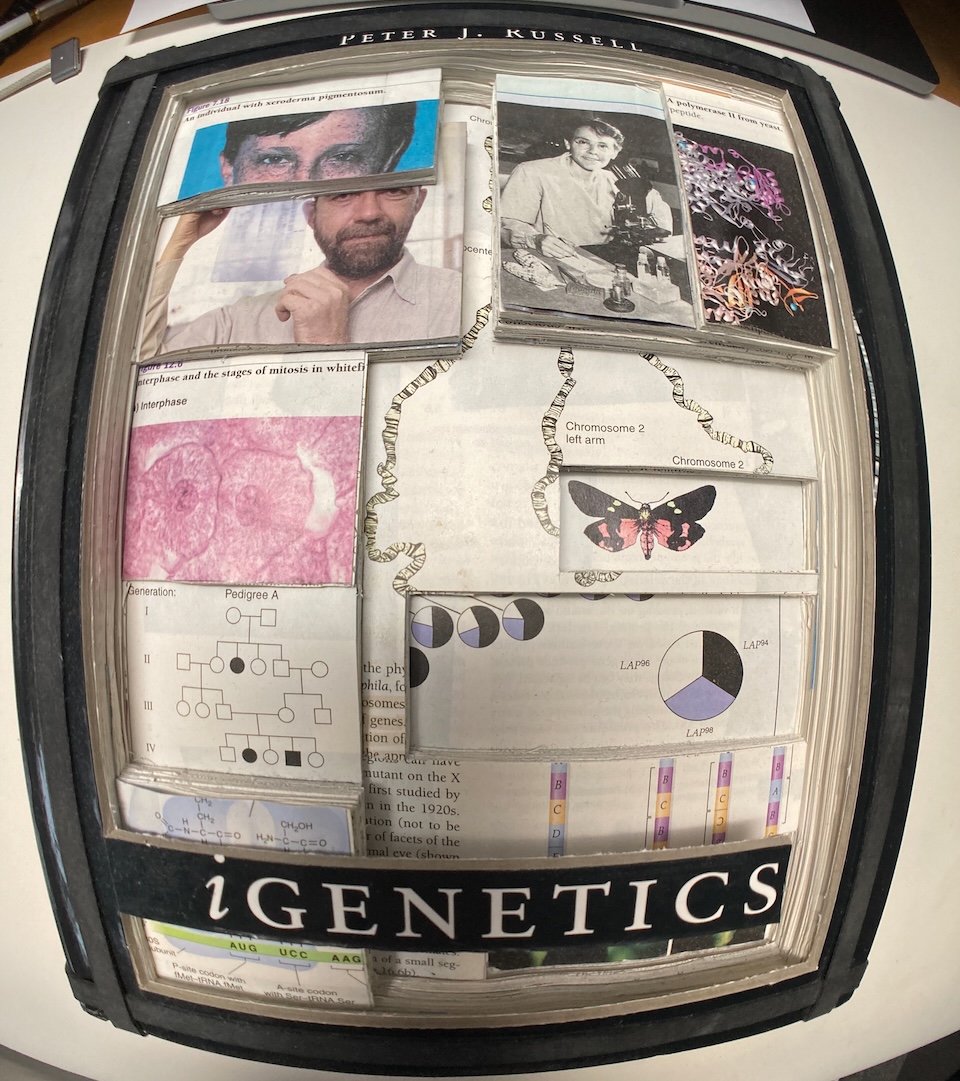 Straight on wide angle shot of the textbook sculpture.