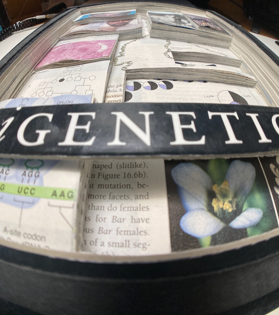 Wide angle lens shot from the bottom edge of the book tilted at 45 degrees.