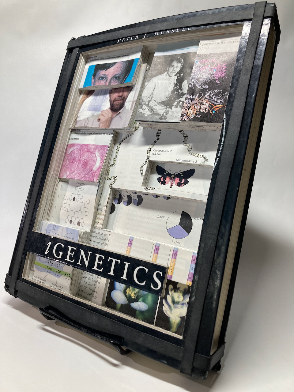 Depths of Knowledge Vol 4