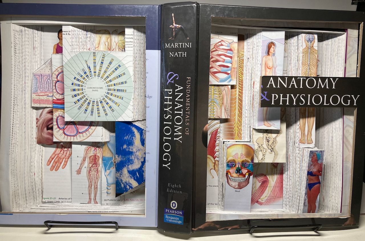 Depths of Knowledge Vol 5