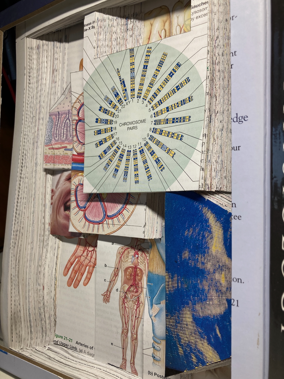 Shot angled at 45 towards the left side of the sculpture.