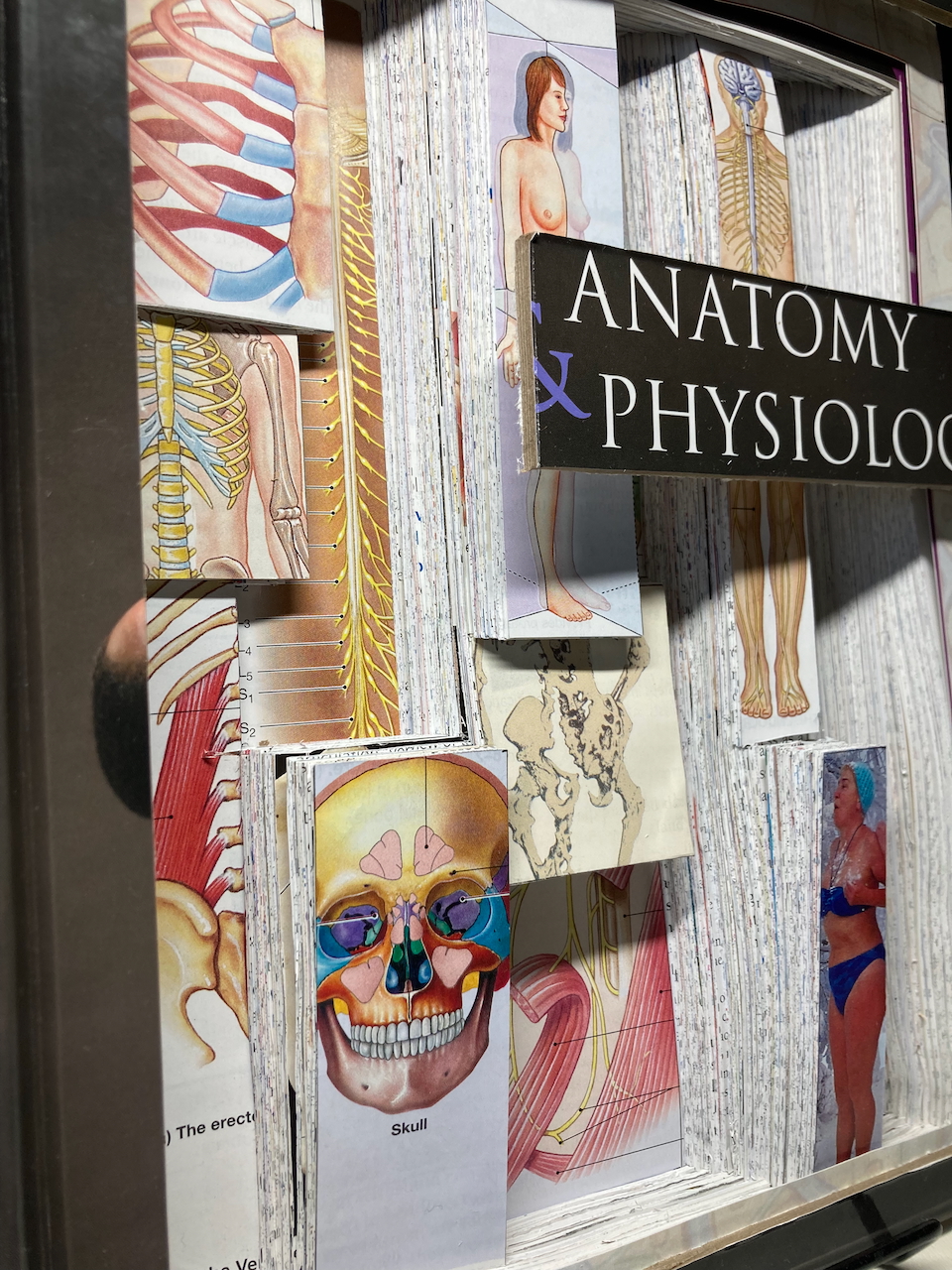 Shot angled at 45 towards the right side of sculpture.