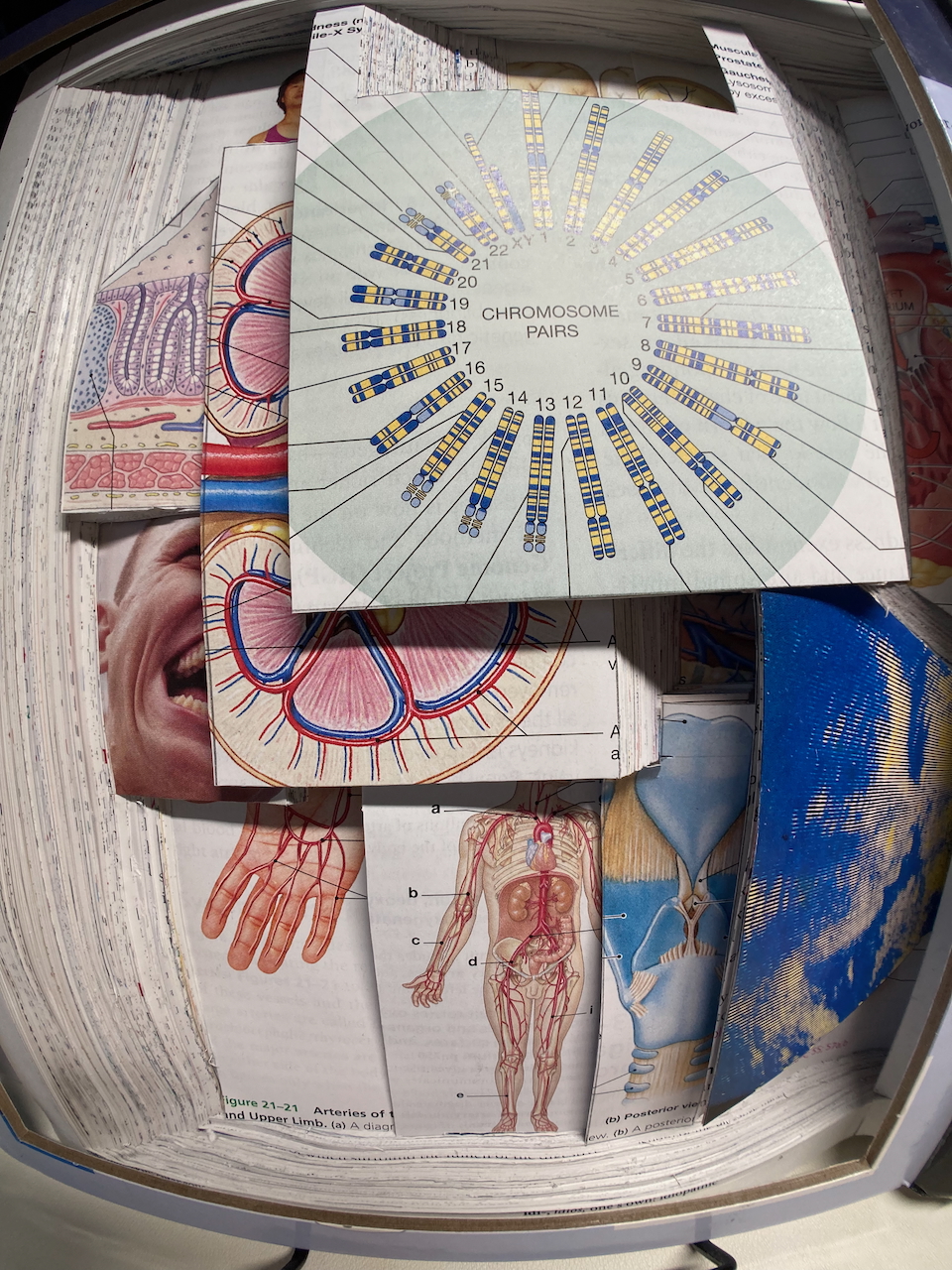 Wide angle shot of left side of sculpture.