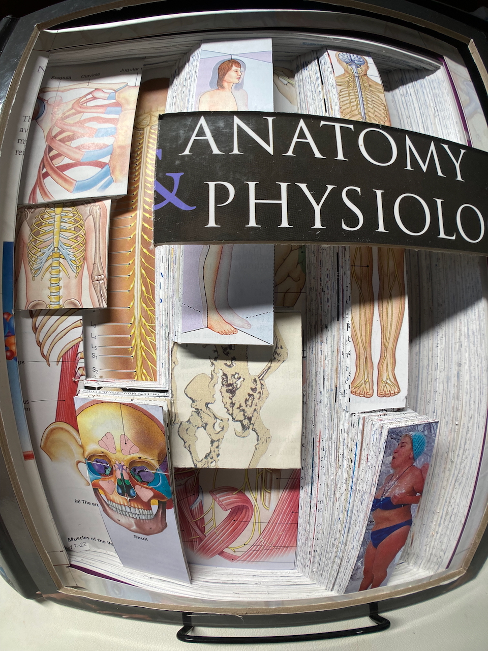 Wide angle shot of right side of sculpture.