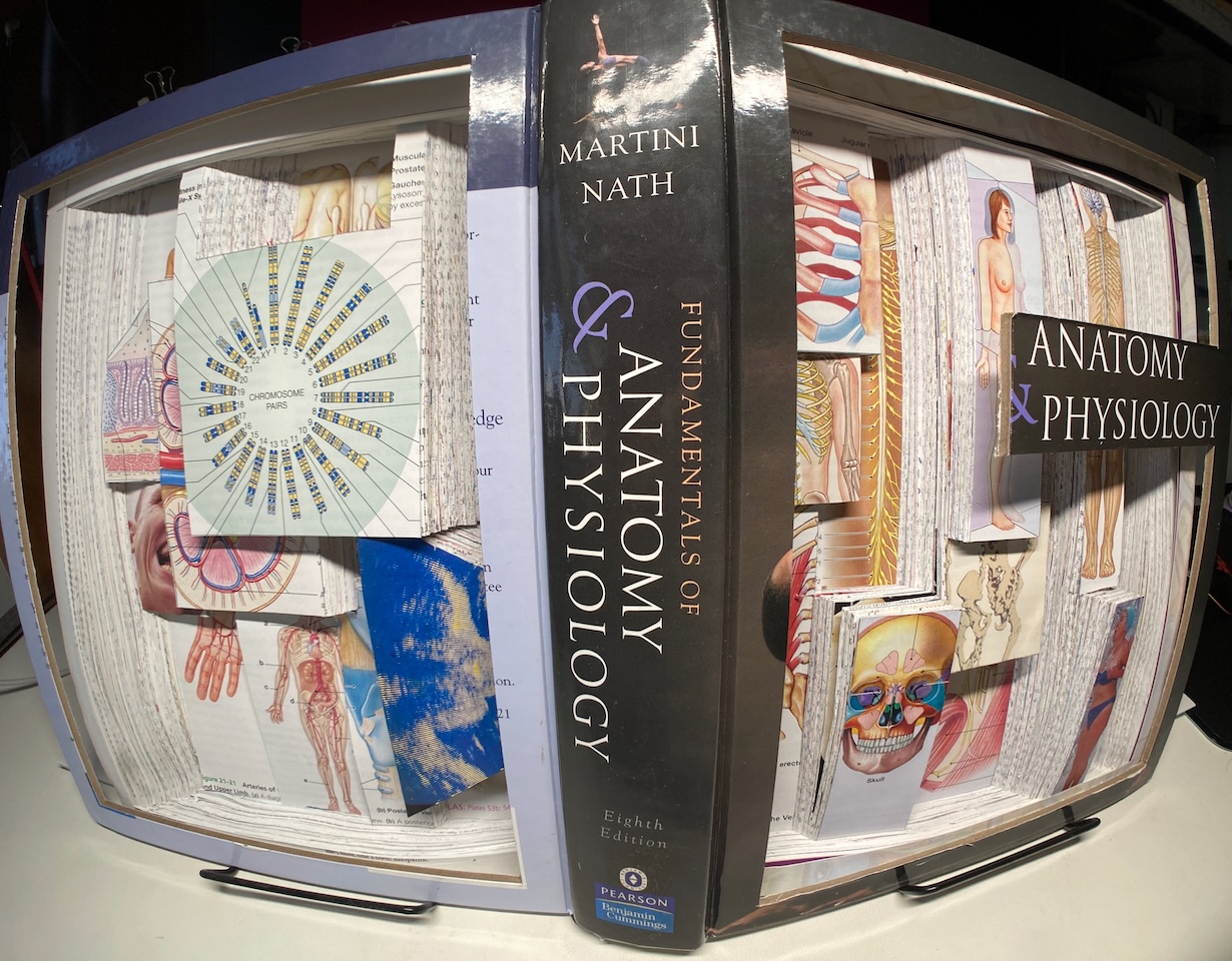 Wide angle straight on shot of textbook sculpture.