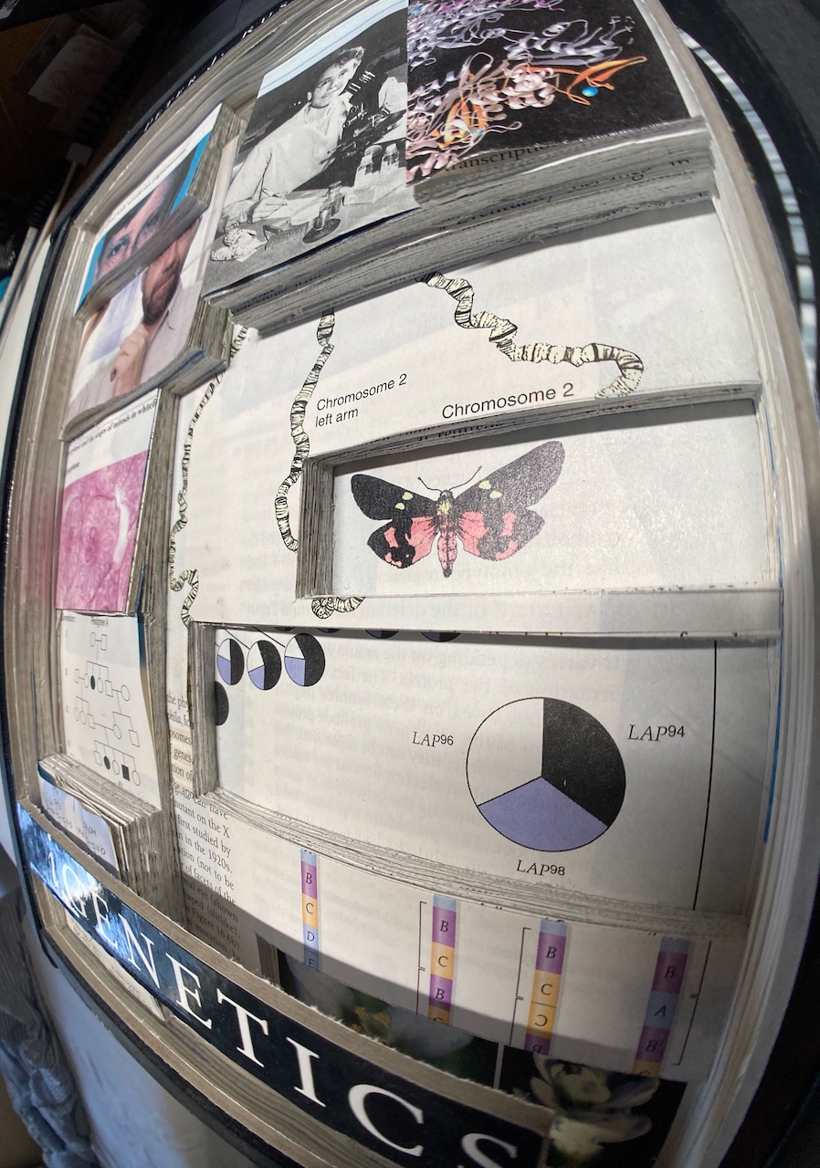 Wide angle lens shot from the right edge of the book tilted at 45 degrees.