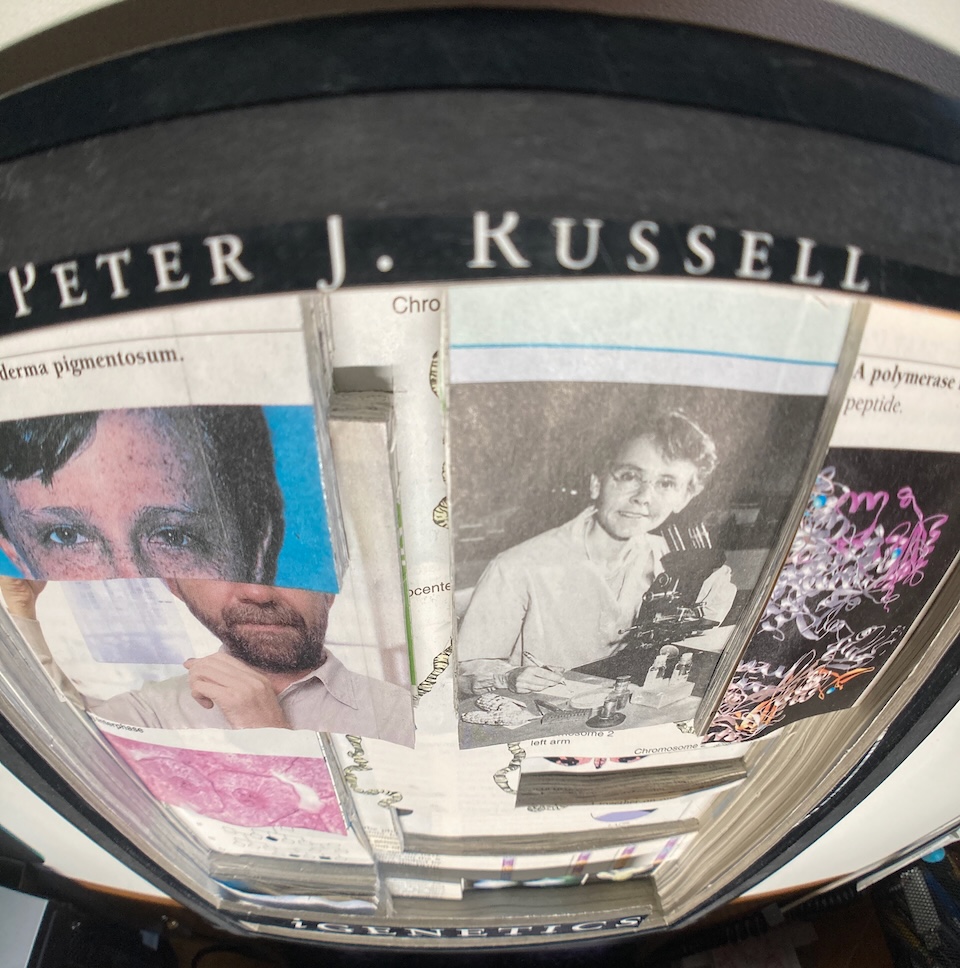 Wide angle lens shot from the top edge of the book tilted at 45 degrees.